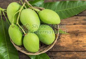 Green Organic Raw Mango