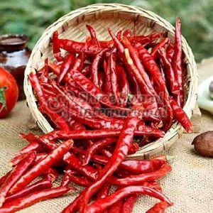Teja S17 Dry Whole Red Chilli (Steamless)