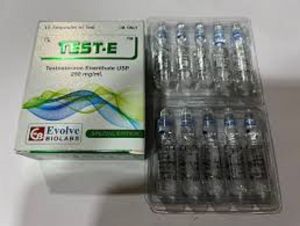 Testosterone Enanthate Injection, 250 mgml