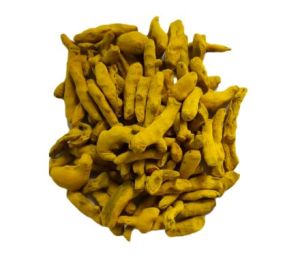 erode turmeric