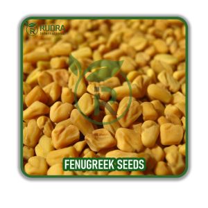 fenugreek seed