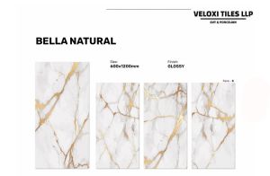 Bella Natural Floor Tile