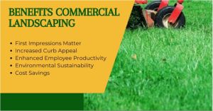 commercial lawn maintenance service
