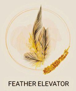 Elevator Installation Services