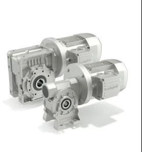 Worm Gear Motor