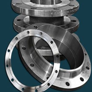 Hastelloy Flanges