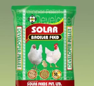 layer chicken feed