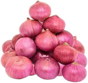 Fresh Pink Onion, For Human Consumption, Packaging Size : 10 Kg