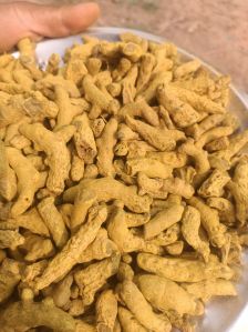 Assam Turmeric Finger