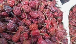 Ghost Pepper Dry Red Chilli