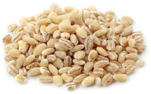 Pearl Barley Seeds