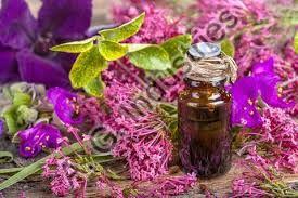 Clary Sage Natural Blend Oil