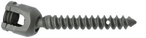 Poly Fenestrated Screw