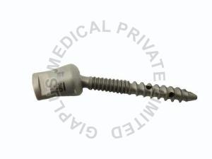 Poly Fenestrated Pedicle Screw