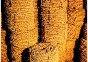 Machine twisted coir rope