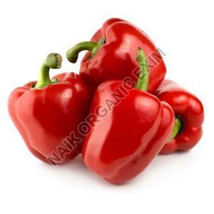 Fresh Red Capsicum, For Cooking, Shelf Life : 10-15 Days