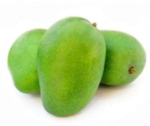 Raw Rajapuri Mango