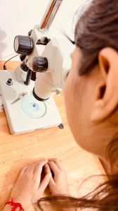 Diploma In Gemology Science