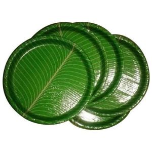 100 Gsm 12 inch banana leaf paper plates