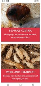 cockroach pest control service