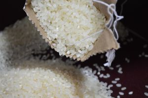 katarni rice