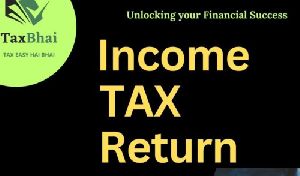 Income Tax Consultant Service