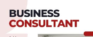 business consultant services