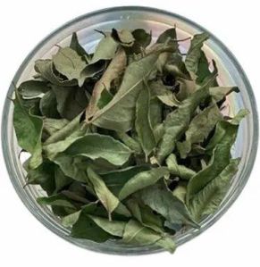 Dried Curry Leaves