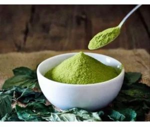 Green Tea Extract Powder