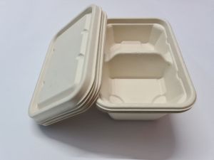 2 Compartment Bagasse Food Container with Lid