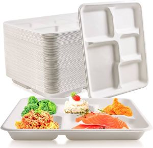 5 Compartment Bagasse Takeaway Tray