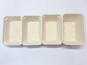 Bagasse Rectangular Container