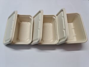 Bamboo Global Anti Leak Bagasse Container with Lid