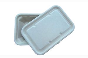 Bamboo Global Anti Leak Bagasse Container with Lid