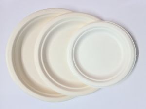 Round White Bagasse Plate