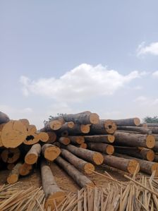 Malaysian Meranti Wood Logs