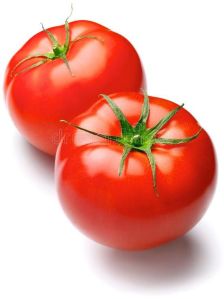 fresh tomato