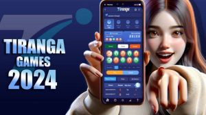 Tringa Game Development services