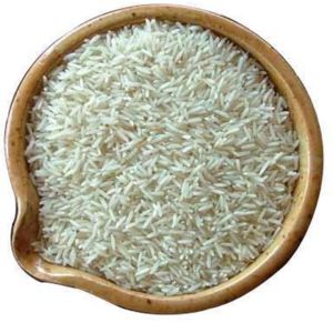 white katarni rice