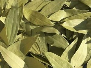 Bay Leaves