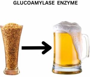Glucoamylase Enzyme