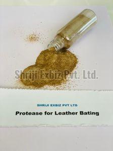 protease enzyme for leather