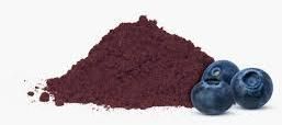 Bilberry Dry Extract