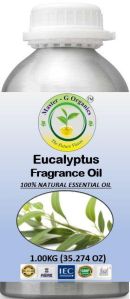 Eucalyptus Fragrance Oil