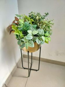 Brass Planter with Stand