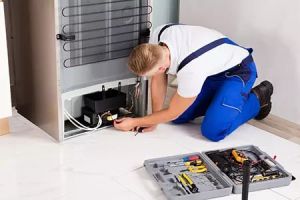 Domestic Refrigerator Repairing Services