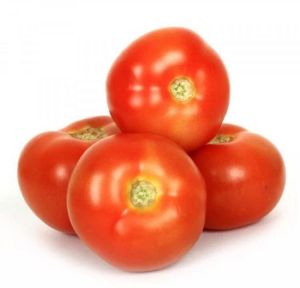 A Grade Tomato