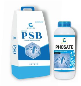 PHOSPHATE-Phosphorus Solubilizing Bacteria (PSB
