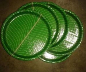 khela patta buffet paper plate