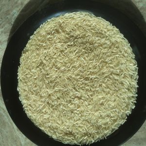 1121 steam rice